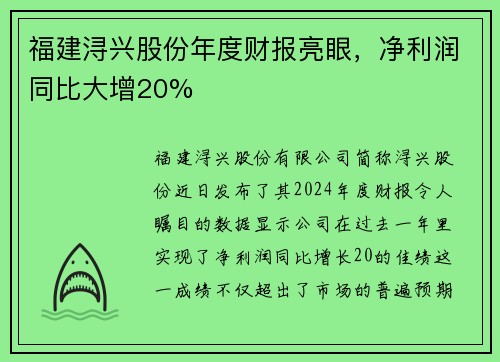 福建浔兴股份年度财报亮眼，净利润同比大增20%