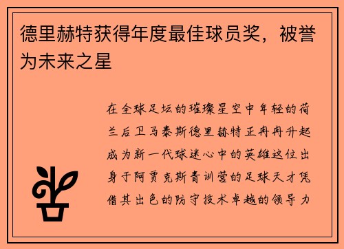 德里赫特获得年度最佳球员奖，被誉为未来之星